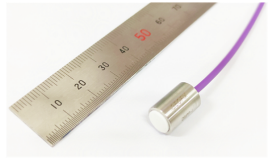 一体式微型孔隙压力传感器DSPP-I